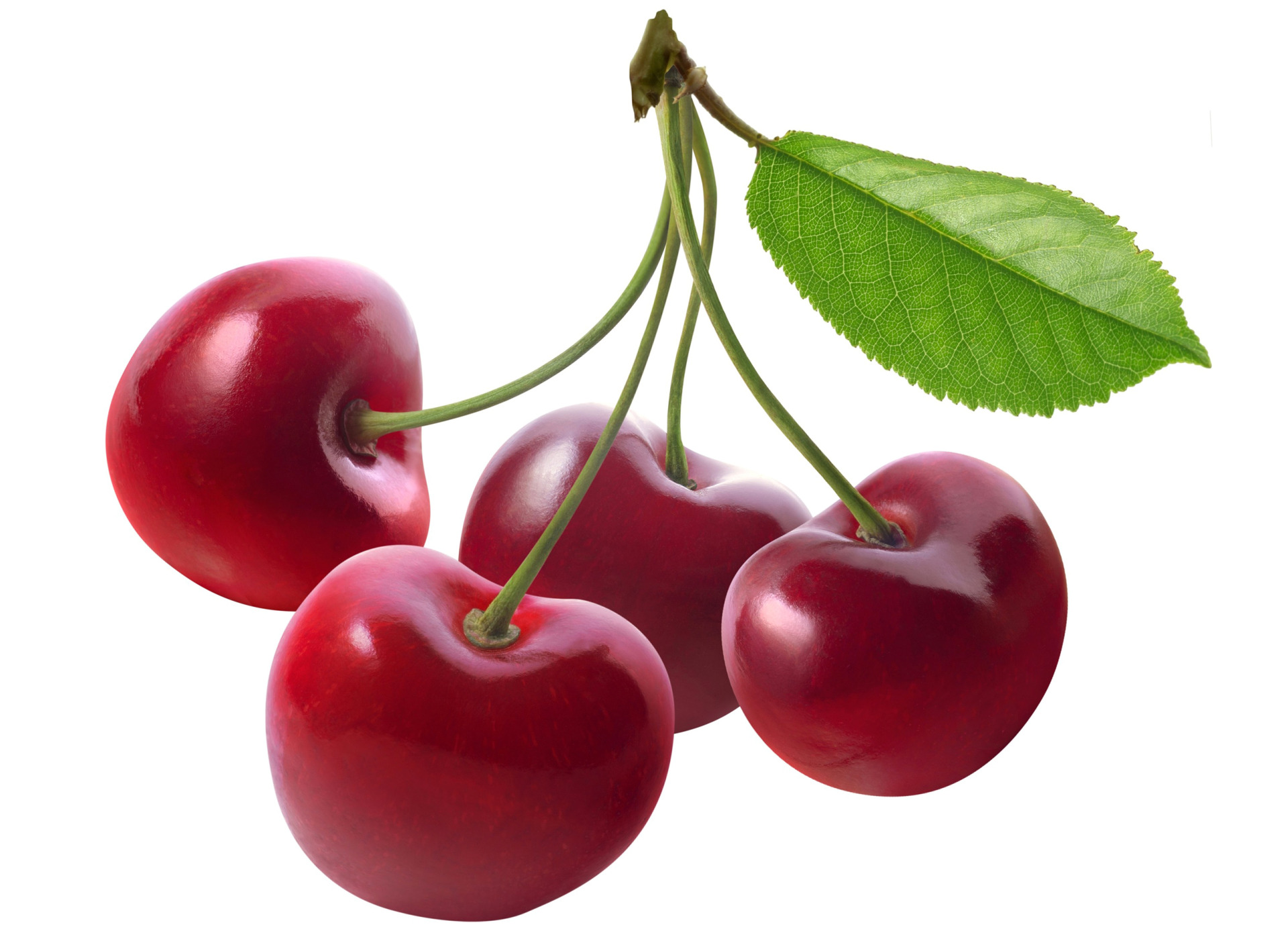 Berryy.cherry