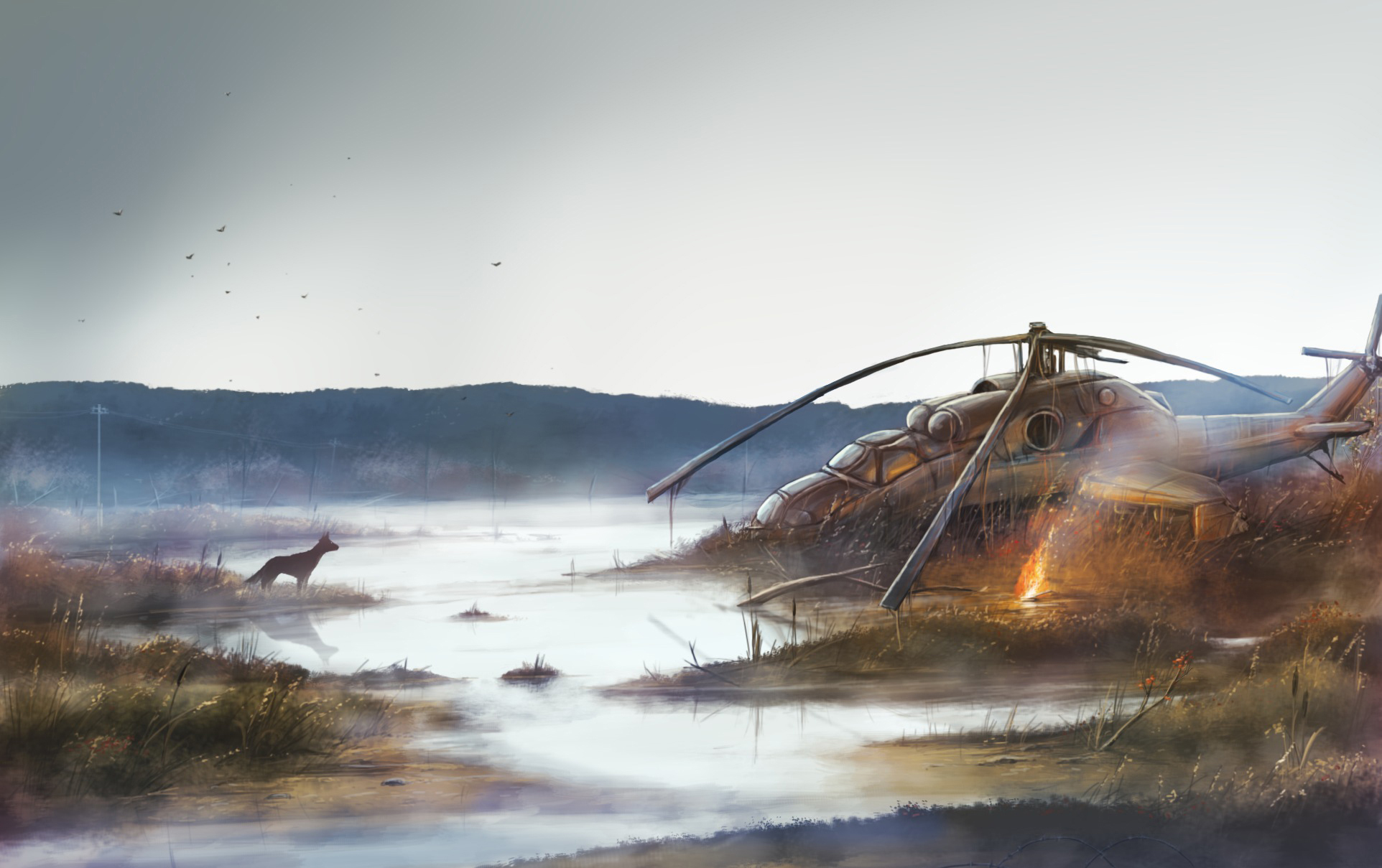 GoodFon.com - Free Wallpapers, download. swamp, dog, helicopter, pustosh. 