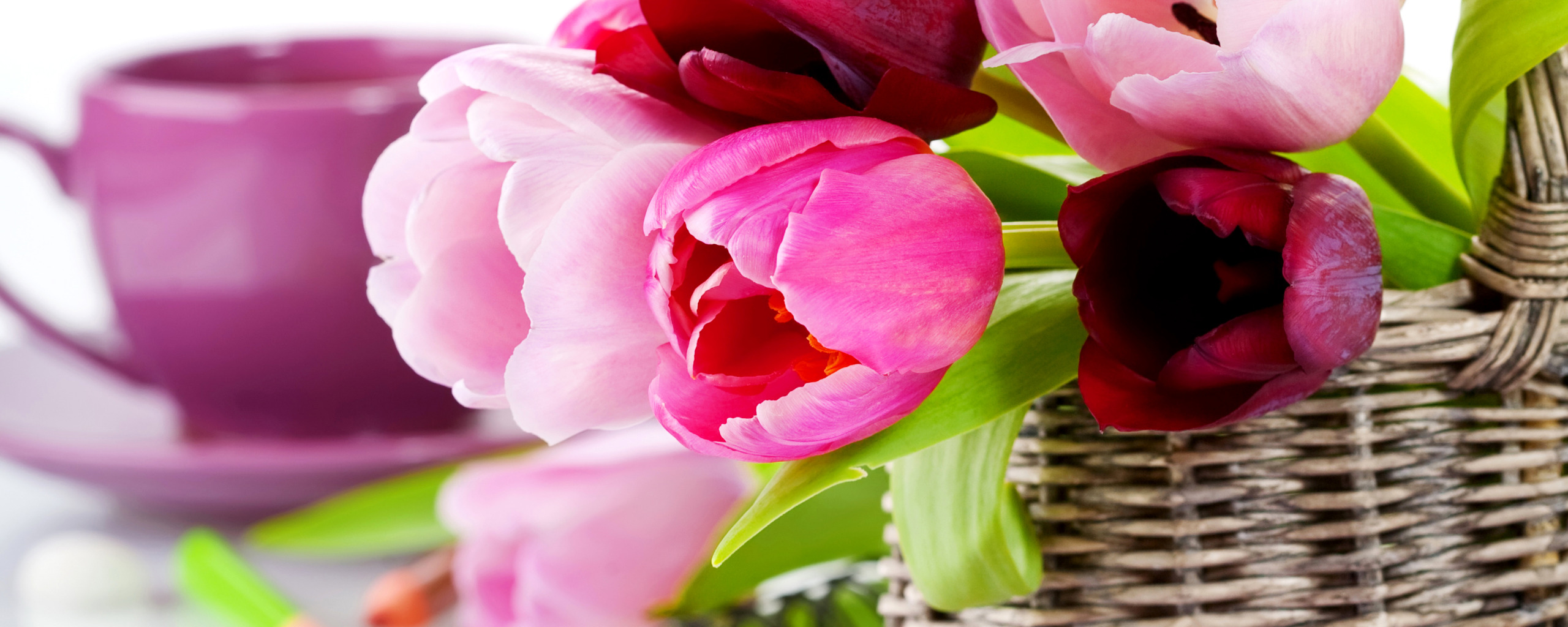 photo, Flowers, Tulips, Basket, Closeup. 