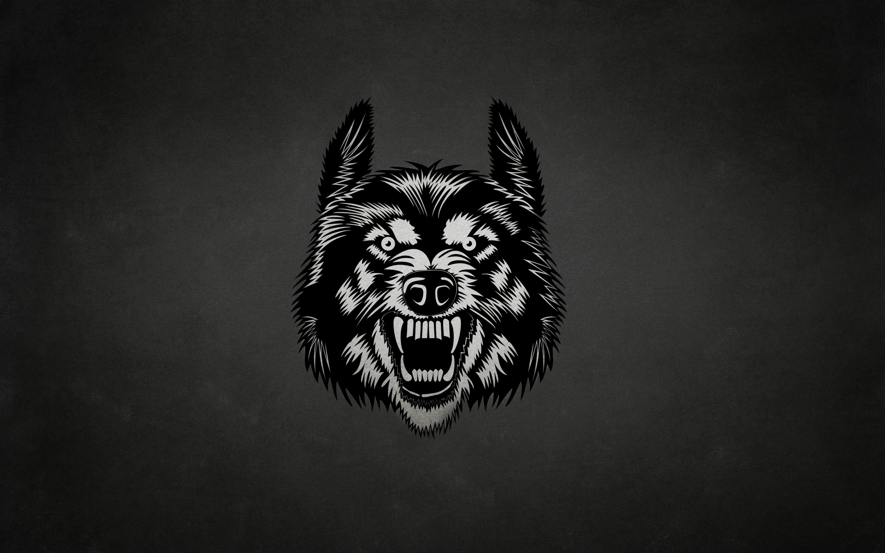 Download wallpaper face, the dark background, wolf, wolf, section  minimalism in resolution 2880x1800