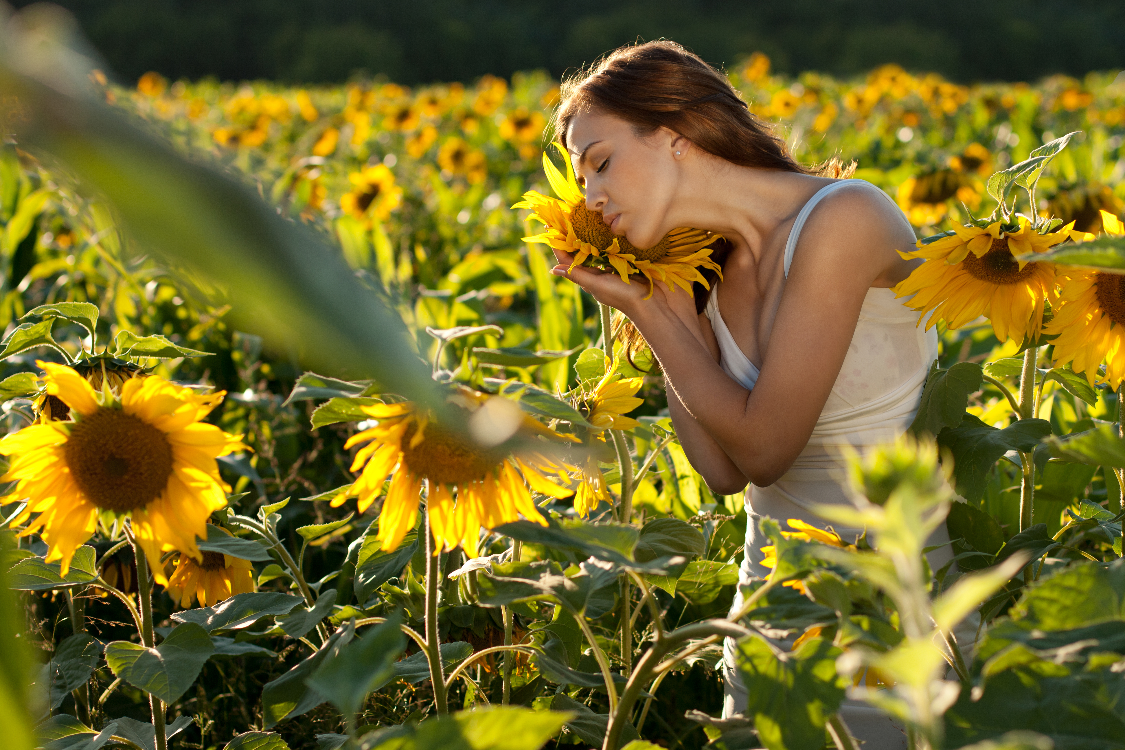 GoodFon.com - Free Wallpapers, download. field, girl, sunflowers. 