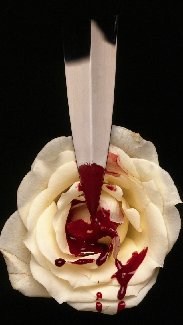 Download wallpaper BACKGROUND, DROPS, BLACK, BLOOD, WHITE, ROSE, KNIFE,  DAGGER, BLADE, section miscellanea in resolution 640x1136