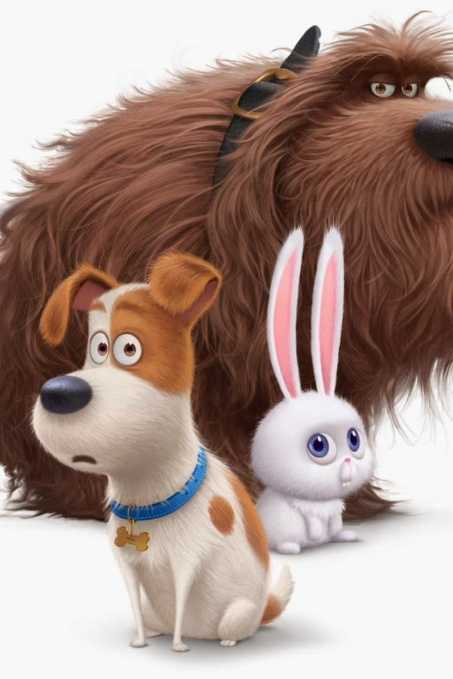 Download wallpaper cinema, puppy, rabbit, dog, cartoon, movie, animal,  hair, film, Max, hare, official wallpaper, Duke, comedy, collar, terrier,  section films in resolution 640x960
