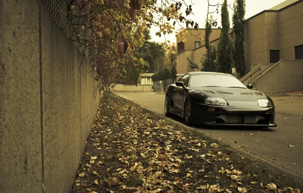 Picture autumn, grass, leaves, city, the city, lawn, Toyota, cars, auto, Toyota Supra, wallpapers auto, Wallpaper …