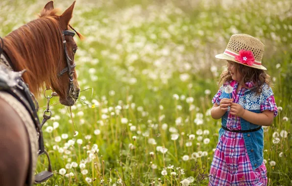 Picture field, grass, flowers, nature, horse, child