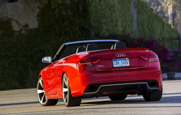 Picture red, Audi, Audi, red, convertible, RS5, cabriolet
