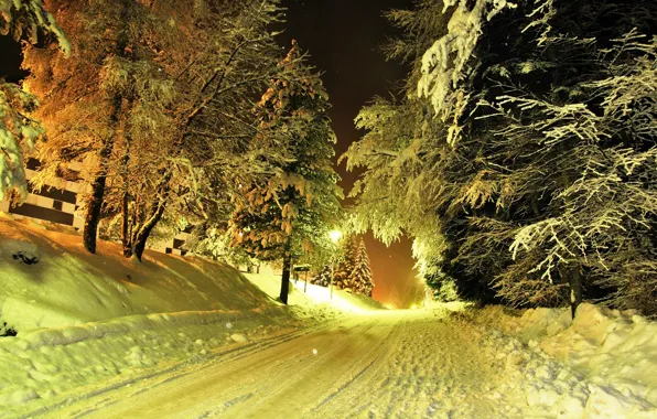 Picture winter, road, snow, trees, lights