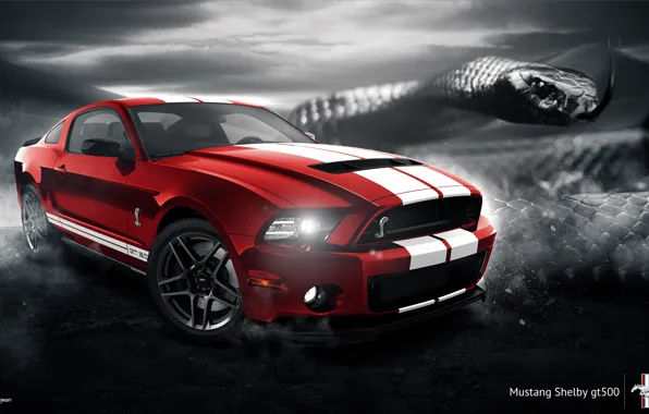 Picture Mustang, Ford, Shelby, GT500, Muscle, Red, Car, Snake, 2014
