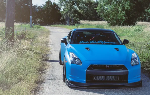 Picture road, grass, trees, posts, nissan, road, Nissan, blue, gtr, the front, gtr, r35