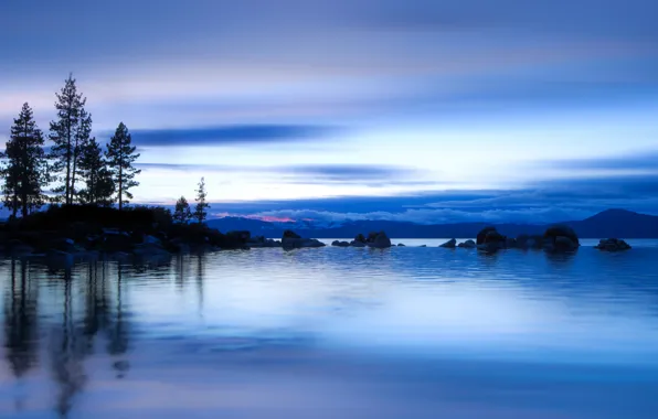 Picture the sky, water, clouds, trees, lake, surface, reflection, blue, shore, the evening, USA