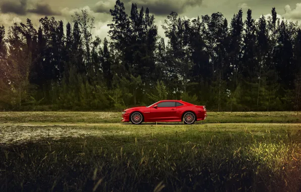 Picture The sky, Field, Grass, Trees, Chevrolet, Forest, Machine, Camaro, Car
