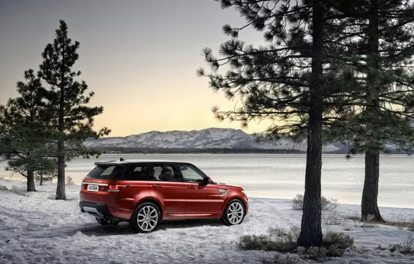 Picture winter, trees, photo, Land Rover, Range Rover, car, Range Rover Sport, Burgundy