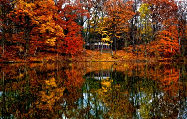 Picture autumn, forest, trees, landscape, Villa, home, Nature, house, forest, architecture, trees, landscape, nature, autumn, view, …