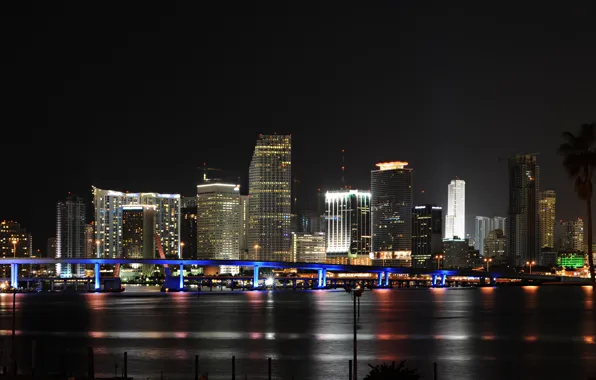 Picture the city, panorama, USA, Miami, night
