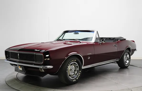 Picture retro, convertible, Chevrolet, muscle car, camaro, chevrolet, convertible, muscle car, 1967, Camaro