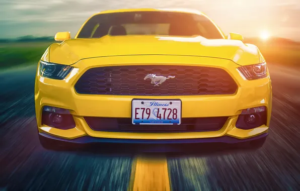 Picture Mustang, Ford, Muscle, Car, Front, Sun, Yellow, Road, 2015, Composite