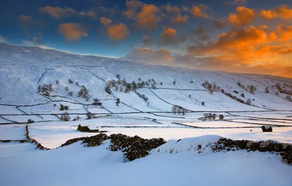 Picture winter, field, the sky, clouds, snow, trees, sunset, hills, England, glow