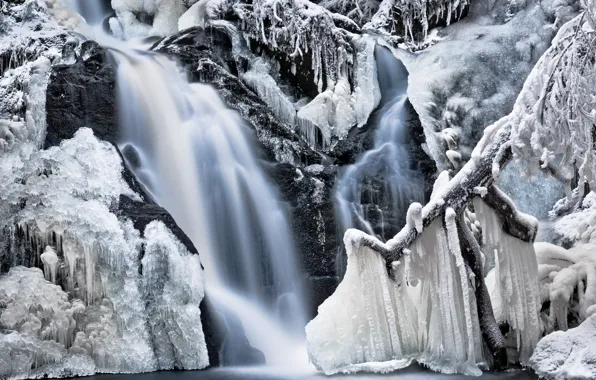 Picture winter, frost, water, snow, trees, nature, rocks, waterfall, icicles, ice, frozen
