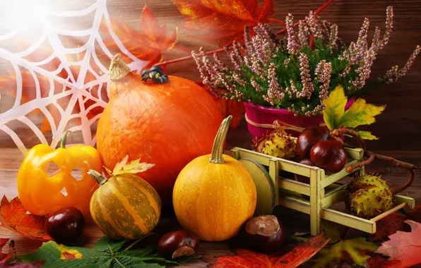 Picture autumn, leaves, harvest, pumpkin, autumn, leaves, still life, pumpkin, harvest