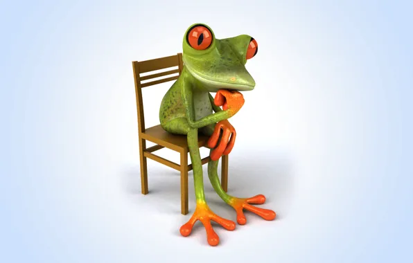 Picture frog, frog, funny