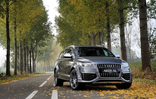 Picture autumn, forest, leaves, trees, grey, Audi, Audi, jeep, metallic, grey, jeep, metallic