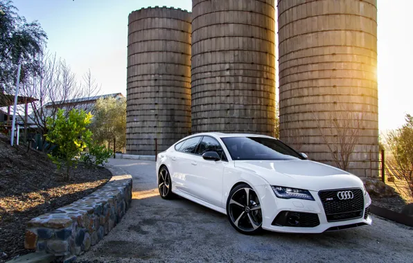 Picture Audi, Audi, white, white, front, RS7