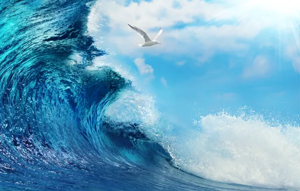 Picture sea, water, the ocean, wave, sky, sea, ocean, blue, splash, wave