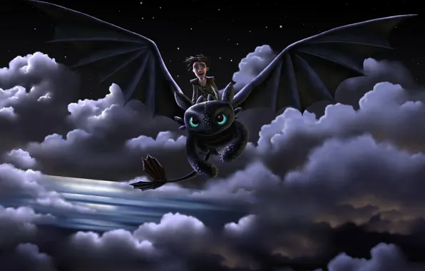 Picture flight, joy, night, dragon, guy, art, how to train your dragon, toothless, How to Train …
