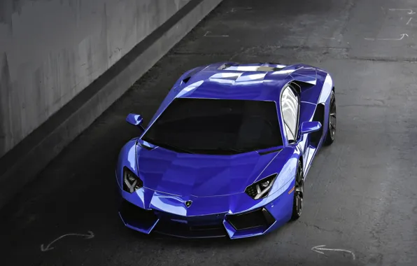Picture blue, lamborghini, blue, the view from the top, aventador, lp700-4, Lamborghini, aventador