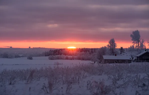 Picture winter, snow, morning, sunrise