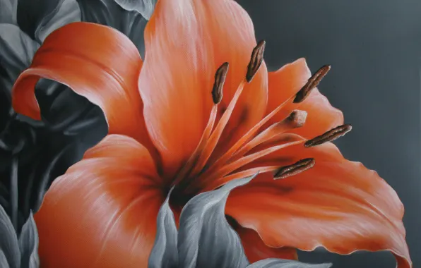 Picture flower, leaves, grey background, painting