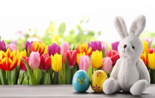 Picture flowers, eggs, spring, rabbit, Easter, tulips, flowers, tulips, spring, Easter, eggs, decoration, Happy