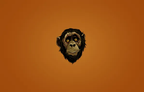 Picture look, face, face, minimalism, head, monkey, monkey, dark background
