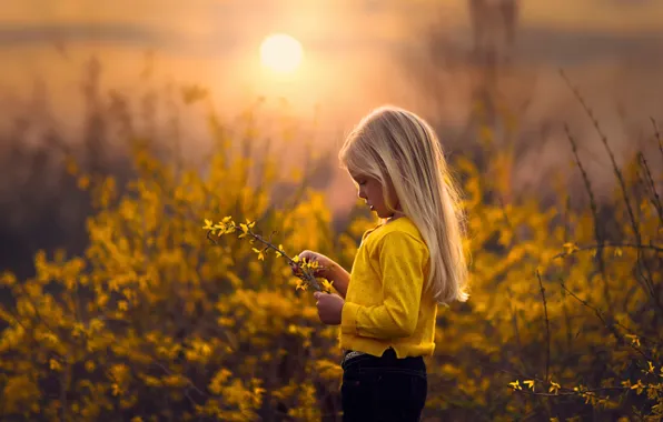 Picture the sun, sprig, spring, girl, Yellow