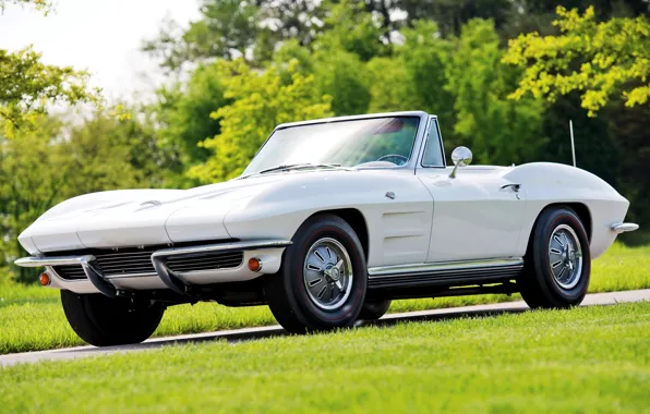Picture Corvette, Chevrolet, convertible, Chevrolet, Sting Ray, Corvette, 1964, Convertible