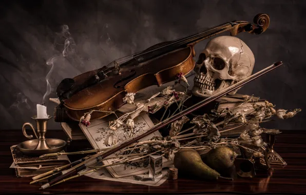 Picture violin, skull, candle