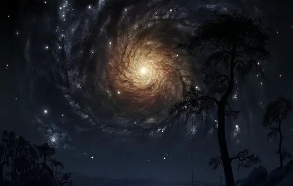 Picture sky, tree, cosmos