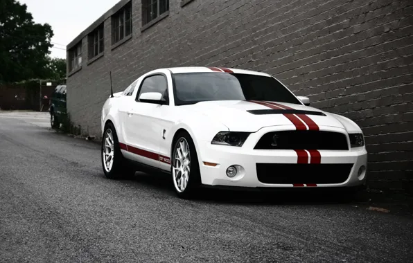 Picture road, white, strip, wall, mustang, ford, shelby, gt500, red stripes