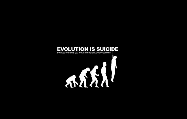 Picture evolution, suicide, parody