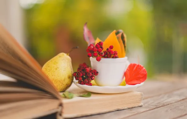 Picture autumn, leaves, berries, Cup, red, book, pear, leaves, saucer