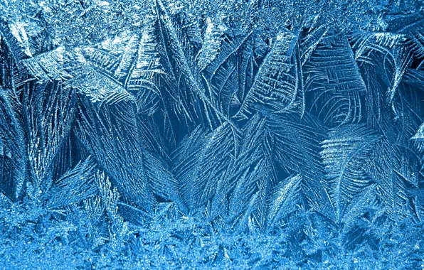 Picture winter, snowflakes, pattern, frost