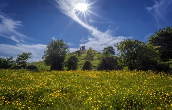 Picture the sky, clouds, trees, flowers, England, hill, meadow, England, buttercups, Somerset, Burrow Mump, Burrowbridge, Somerset, …