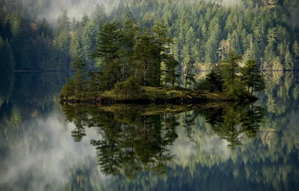 Picture trees, mountains, fog, lake, island