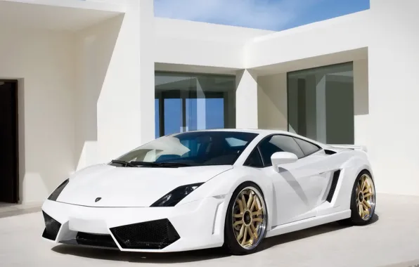 Picture Lamborghini, House, White