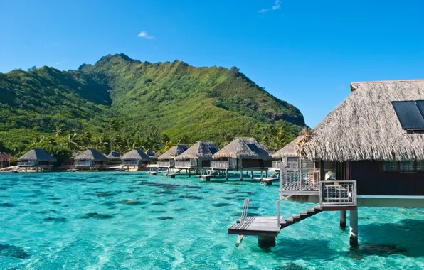 Picture the ocean, exotic, Moorea, French Polynesia, bungalovy hotel