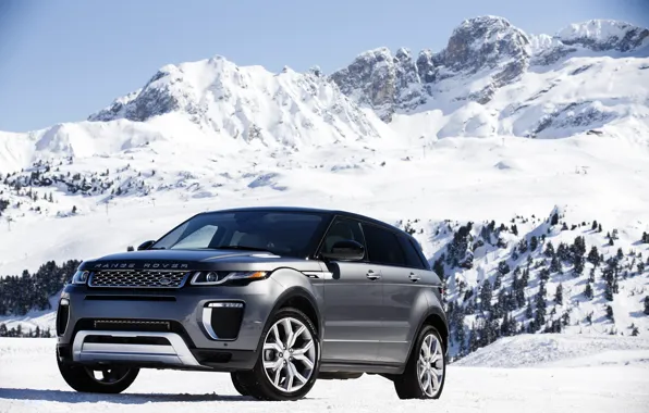 Picture car, snow, trees, mountain, slope, Land Rover, Range Rover, mountain, snow, Evoque, Autobiography