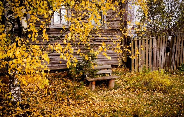 Picture autumn, the city, house, bench
