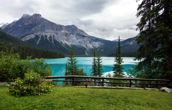 Picture trees, mountains, lake, view, Canada, Playground, Yoho National Park