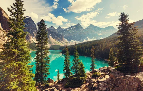 Wallpaper forest, lake, Canada, landscape, lake, Banff National park ...