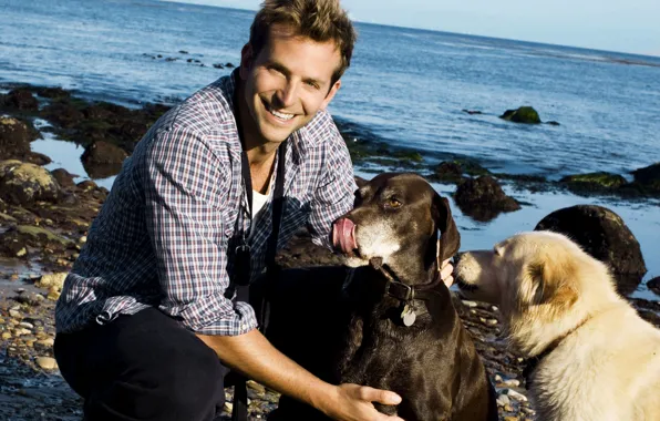 Picture dogs, smile, shore, actor, male, Bradley Cooper, Bradley Cooper